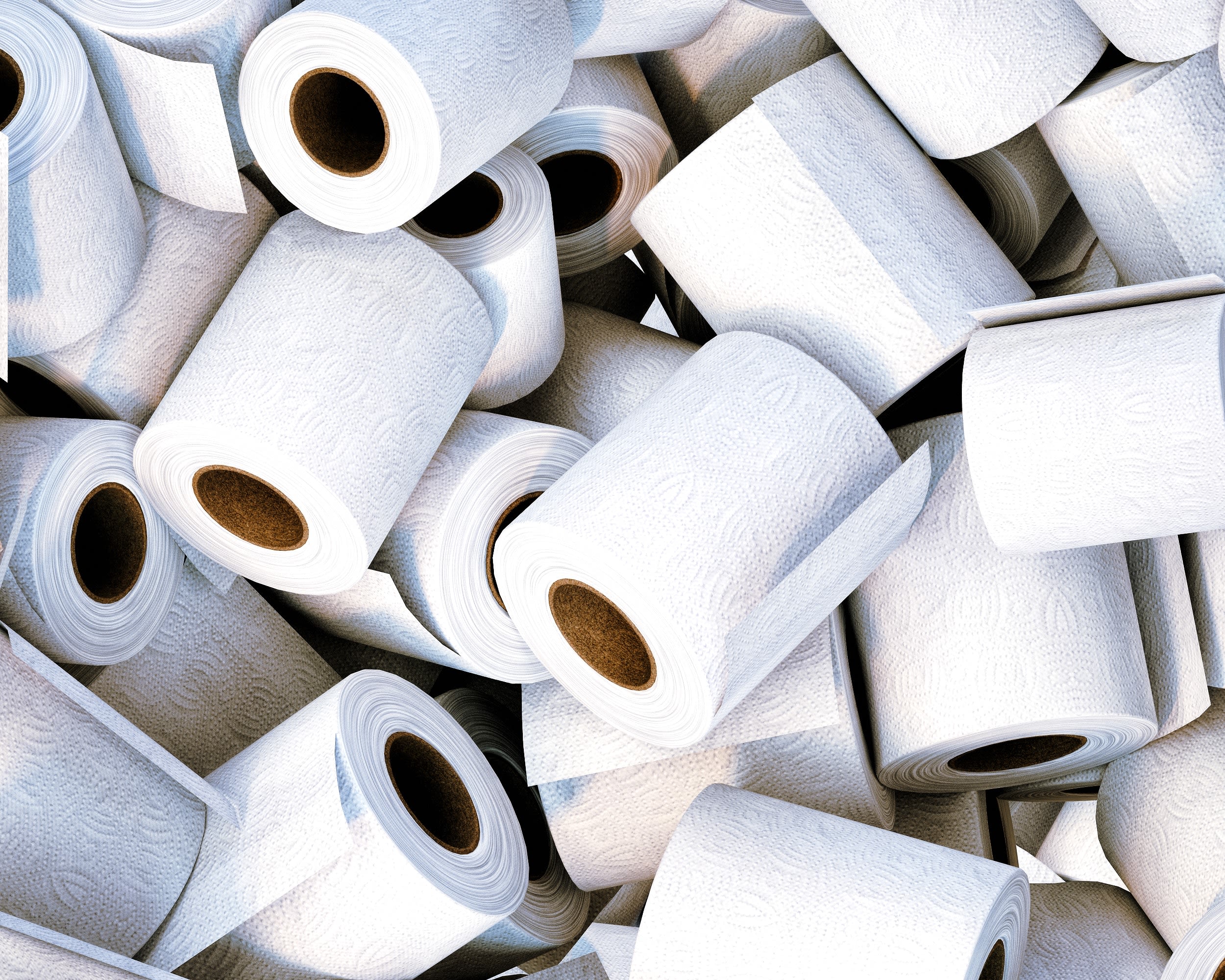 image of toilet roll